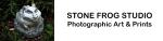 Stone Frog Studio