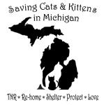 Saving Cats & Kittens