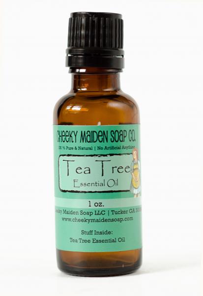 ESSENTIAL OIL: TEA TREE 1 OZ. picture