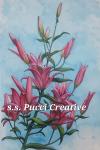 S.S. Pucci Creations