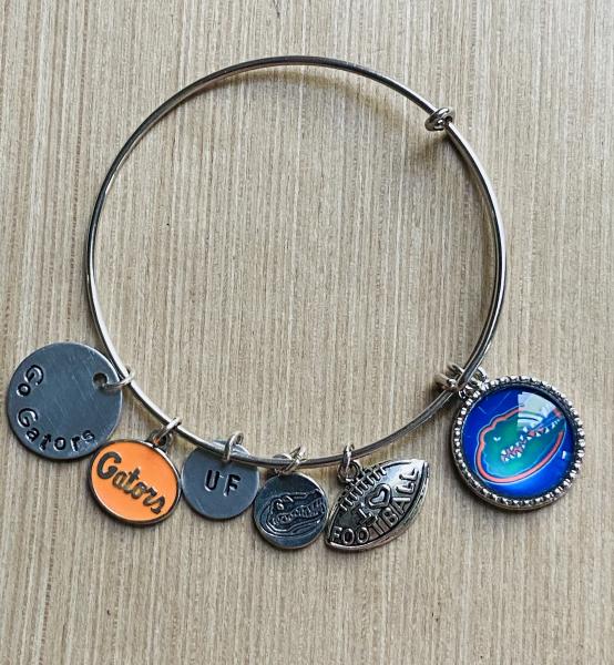 UF University of Florida Gators  Women’s Charm Bracelet picture