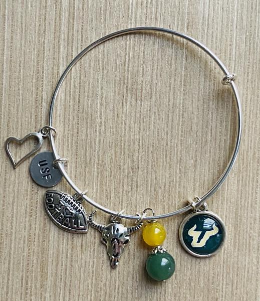 USF Bulls University of South Tampa Bulls Women’s Charm Bracelet