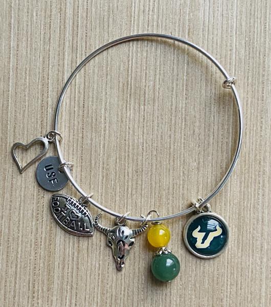 USF Bulls University of South Tampa Bulls Women’s Charm Bracelet picture