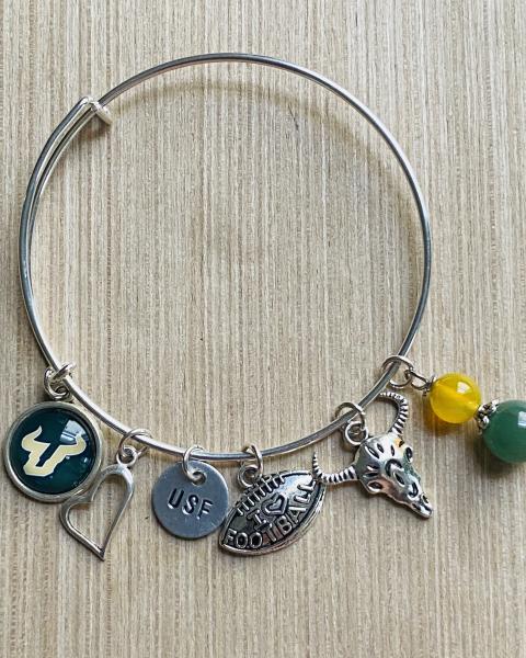 USF Bulls University of South Tampa Bulls Women’s Charm Bracelet picture