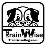 Train Wise