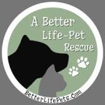 A better life - pet rescue