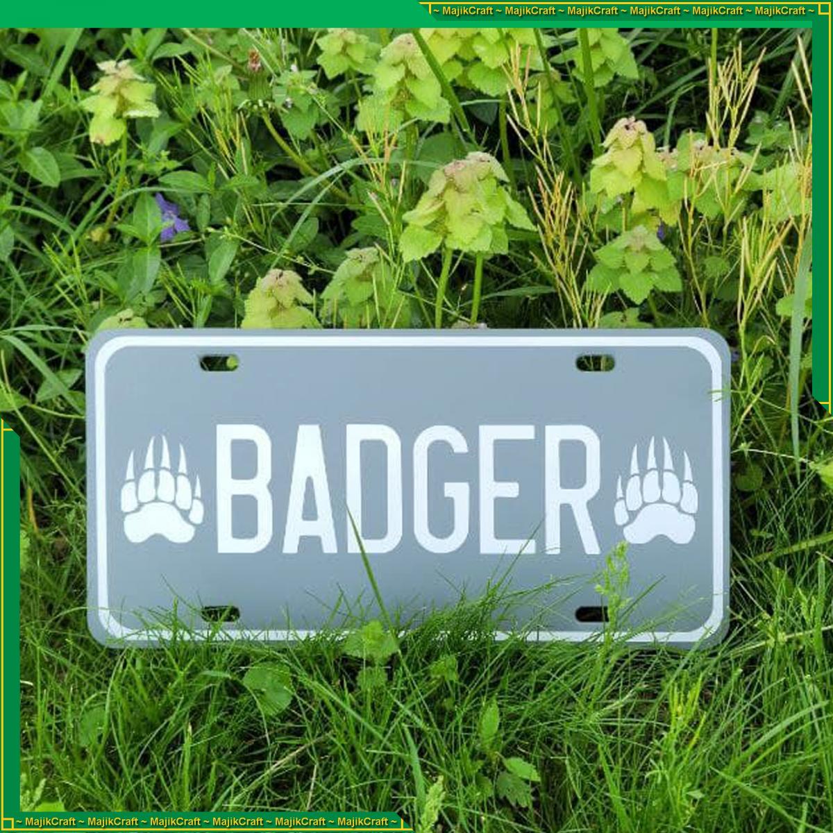 Your Name Here License Plate (Gray) picture