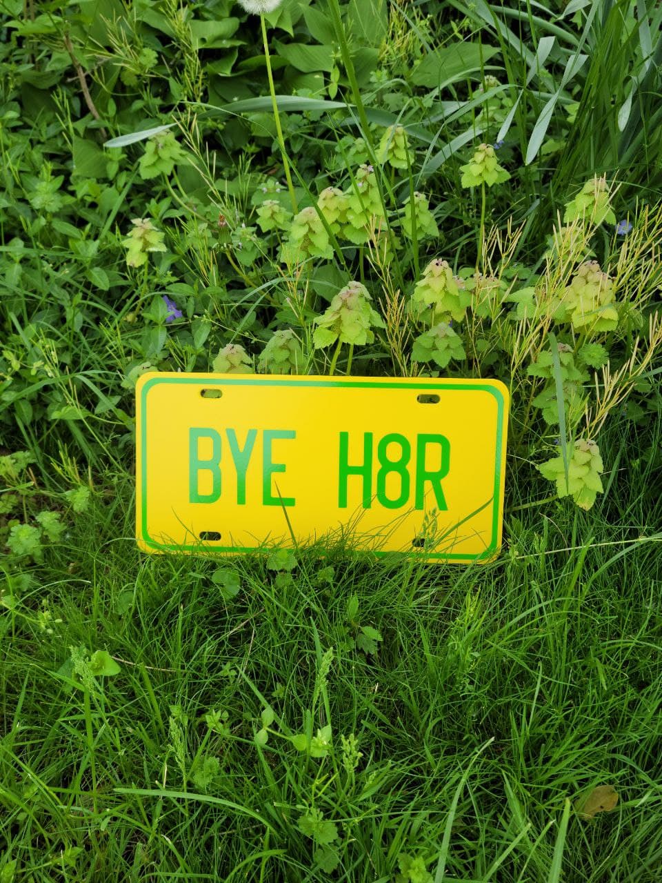 Your Name Here License Plate (Yellow) picture