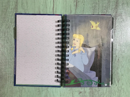 Cinderella/planner/storybook planner/ disney planner picture