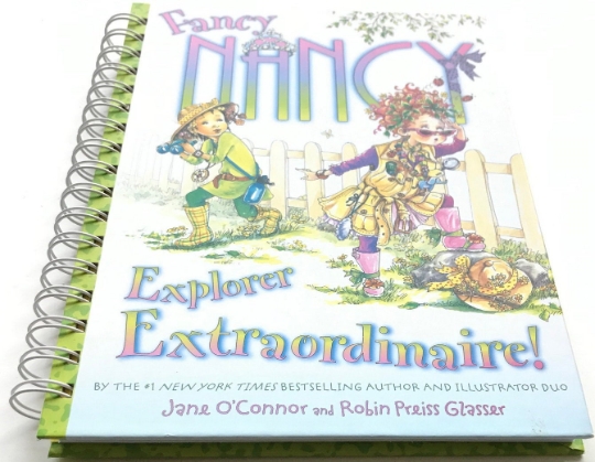 Fancy Nancy journal/sketchbook - Explorer Extraordinaire picture