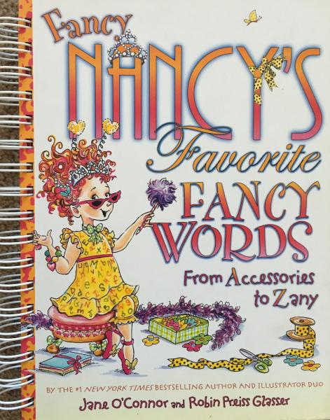 Fancy Nancy Journal Sketchbook - Fancy Words