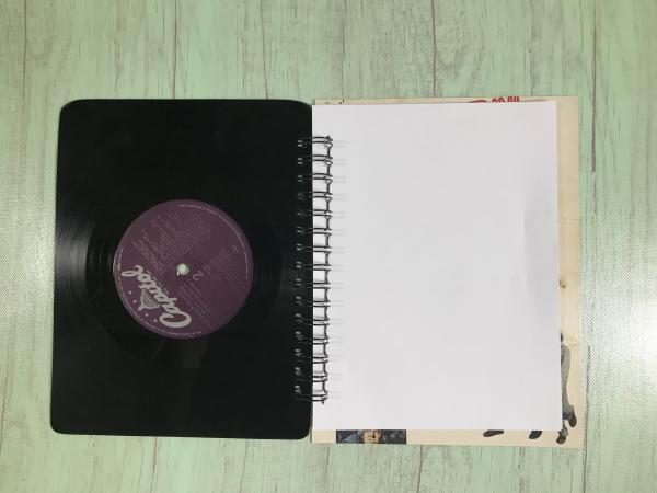 Pete's Dragon vinyl notebook picture