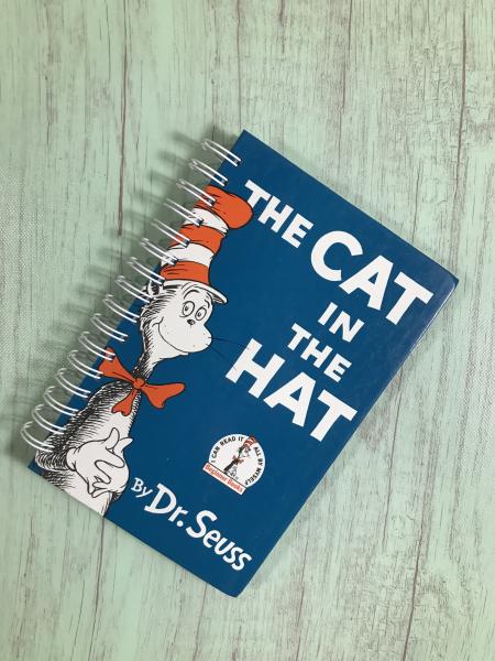 Cat in the Hat sketchbook/journal picture
