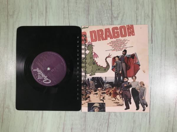 Pete's Dragon vinyl notebook picture