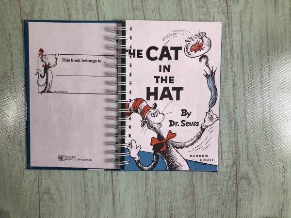 Cat in the Hat sketchbook/journal picture