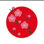 LRS ART LLC
