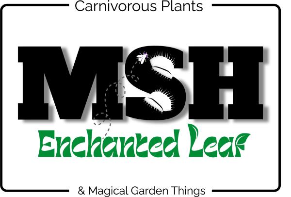 MSH Enchanted Leaf