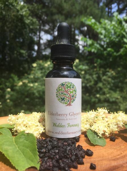 Elderberry Glycerite