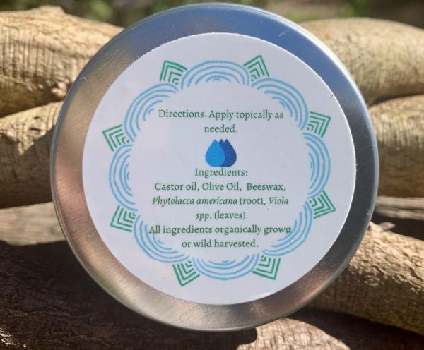 Sacred Waters Lymphatic Salve picture
