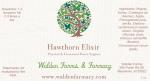 Hawthorn Elixir