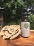 Turkey Tail Tincture