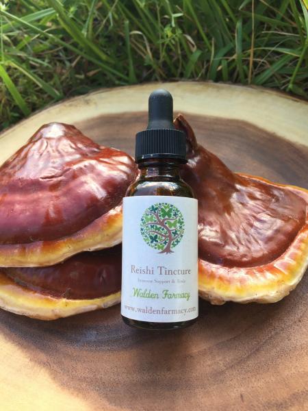 Reishi Tincture picture