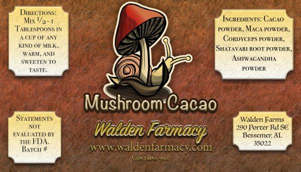 Mushroom Cacao picture