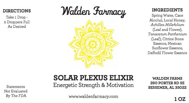 Solar Plexus Elixir picture