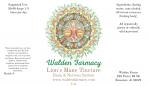 Lion's Mane Tincture