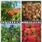 Spreadable Creations