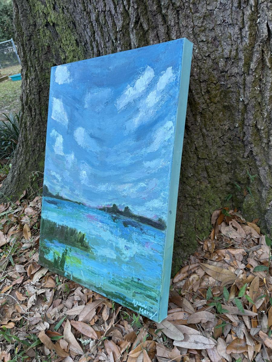 Alligator Water picture