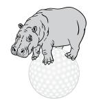 Chippopotamus