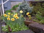Pat Munts, Garden Coach
