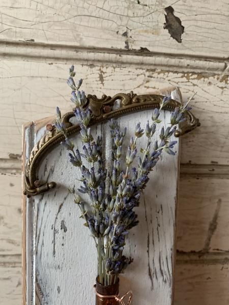 Tiny antique bottle wall vase picture
