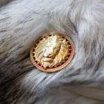 Ascension Golden Lions Metal Coin