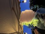 Cotton Candy