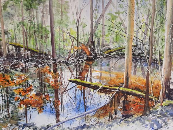 Forest Wetlands, Early spring picture