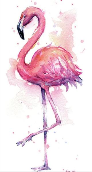 Flamingo Alley