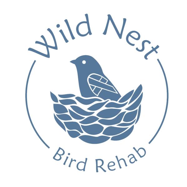 Wild Nest Bird Rehab