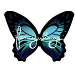 Fancy Wings Crafts
