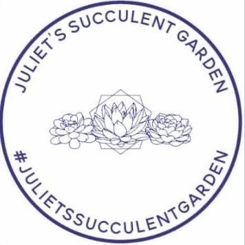 Juliet's Succulent Garden