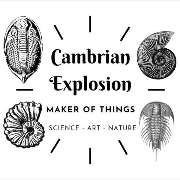 Cambrian Explosion, Maker of Things