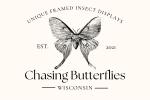 Chasing Butterflies