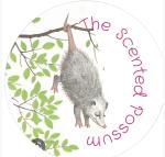 The Scented Possum