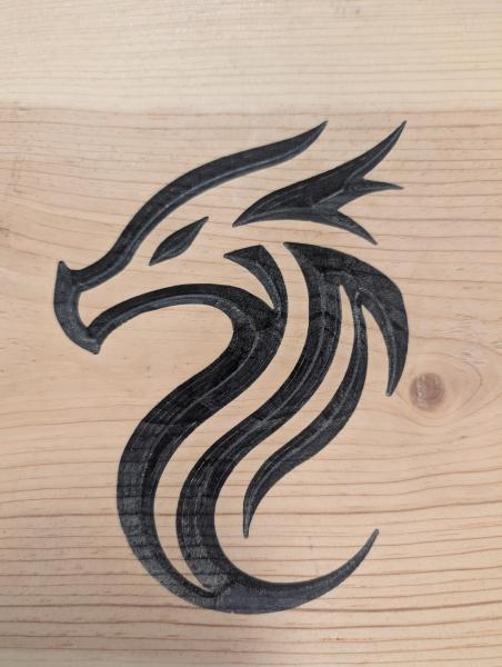 Adopt-a- Dragon