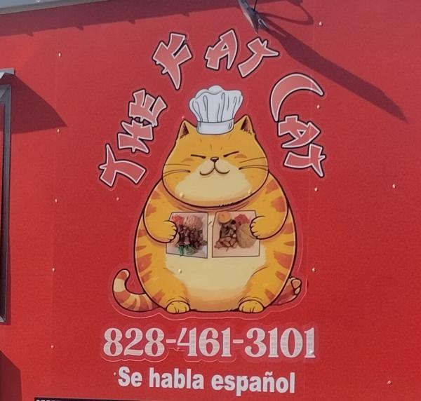 The Lucky fat cat