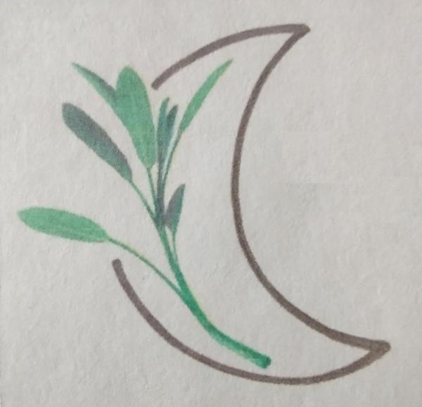 Sagemoon Arts