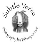 Subtle Verse
