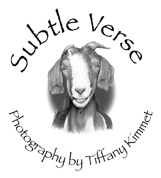 Subtle Verse