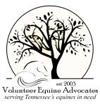 Volunteer Equine Advocates